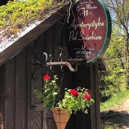 Agroturystyka Pod Swierkiem Srebrna Gora Exterior photo