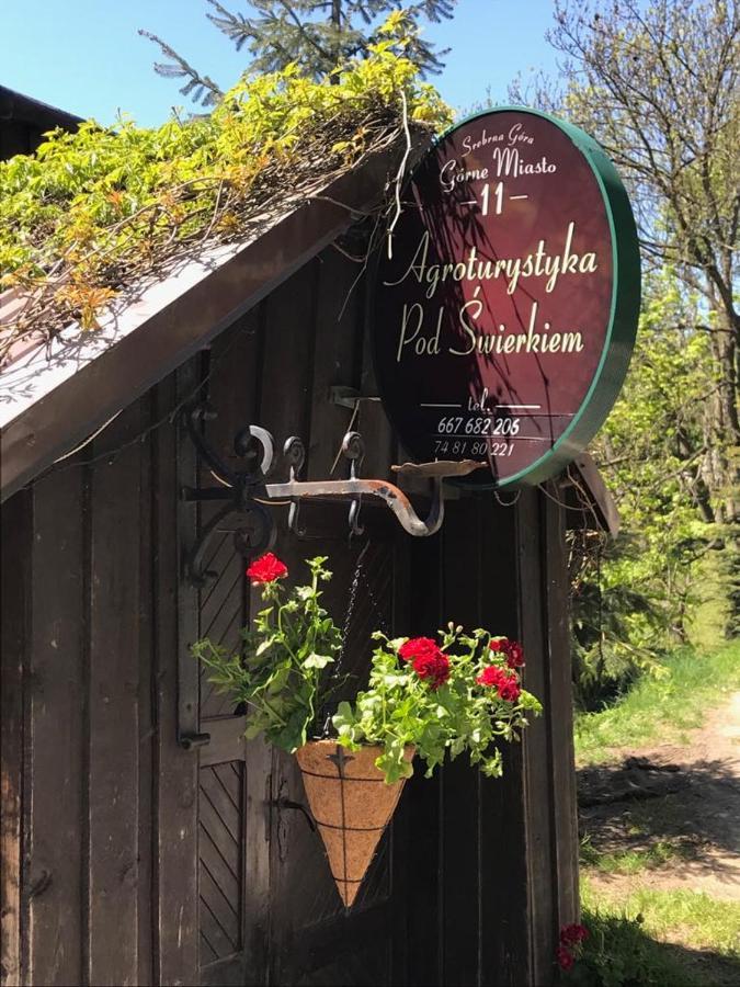 Agroturystyka Pod Swierkiem Srebrna Gora Exterior photo